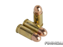 Inert .32 ACP