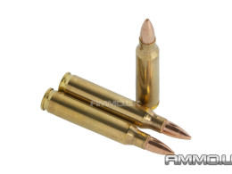 Inert 5.56x45mm NATO